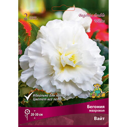 ����  ������� �������� ���� (2 ��.), ������ �� 357 ���