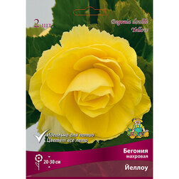 ����  ������� �������� ������ (2 ��.), ������ �� 357 ���