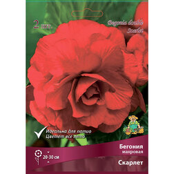 ����  ������� �������� ������� (2 ��.), ������ �� 357 ���