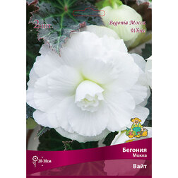 ����  ������� ����� ���� (2 ��.), ������ �� 416 ���