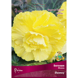 ����  ������� ����� ������ (2 ��.), ������ �� 416 ���