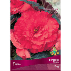 ����  ������� ����� ��� (2 ��.), ������ �� 416 ���