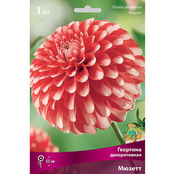 ����  �������� ������������ ����� (1 ��.), ������ �� 433 ���