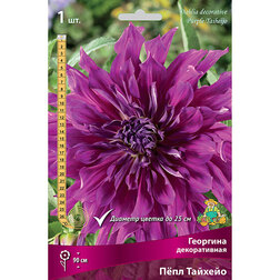 ����  �������� ������������ ���� ������� (1 ��.), ������ �� 467 ���