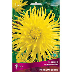 ����  �������� �������������� ������������, ������ �� 421 ���