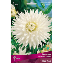 ����  �������� �������������� ��� ���, ������ �� 421 ���