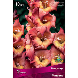 ����  ��������� ������� ������, ������ �� 476 ���