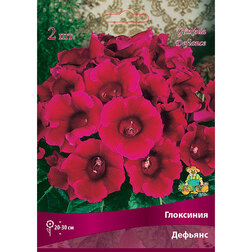 ����  ��������� �������, ������ �� 442 ���