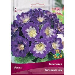 ����  ��������� �������� ���, ������ �� 442 ���