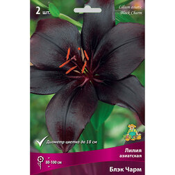 ����  ����� ��������� ���� ���� (2 ��.), ������ �� 319 ���