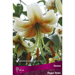 ����  ����� ������� ���� ���� (2 ��.), ������ �� 486 ���