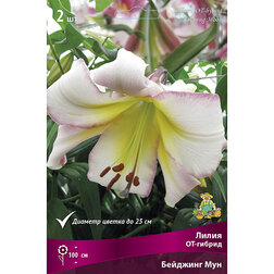 ����  ����� ��-������ �������� ��� (2 ��.), ������ �� 421 ���