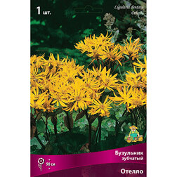 ����  ��������� �������� ������, ������ �� 357 ���