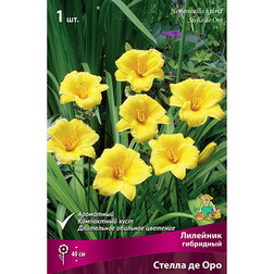 ����  �������� ��������� ������ �� ���, ������ �� 246 ���