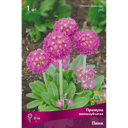 ����  ������� ������������� ����, ������ �� 319 ���