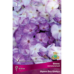 ����  ����� ����������� ����� ��� �����, ������ �� 370 ���