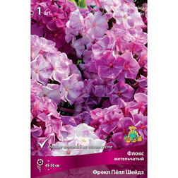 ����  ����� ����������� ����� ϸ�� �����, ������ �� 370 ���