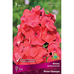 ����  ����� ����������� ���� ������, ������ �� 328 ���