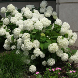 ����  ��������� ����������� �������, ������ �� 671 ���