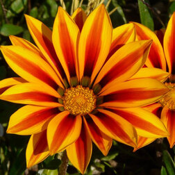 ����  ������� ��� ��� ��� ������ (1��-100��) ���������������� ������, ������ �� 800 ���