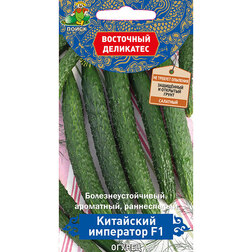 ����  ������ ��������� ��������� F1 (��������� ���������), ������ �� 45 ���