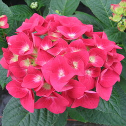 ����  ��������� �������������� ����, ������ �� 612 ���