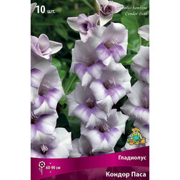 ����  ��������� ������� ������ ����, ������ �� 476 ���