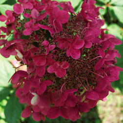 ����  ��������� ����������� ���� ���, ������ �� 629 ���