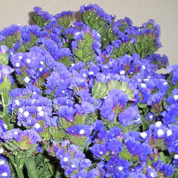 ����  ������� ��� ���� ��� (1��-1000��) ���������������� ������, ������ �� 976 ���