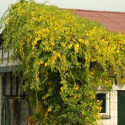 ����  ���������� ������������� ��������, ������ �� 850 ���