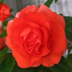 ����  ��������� �������� ����� ����� (1��-250��) ���������������� ������, ������ �� 3280 ���