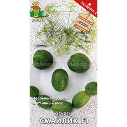 ����  ������ ������� F1, ������ �� 34 ���