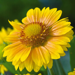 ����  ��������� ����������� ������� ������� (1��-100��) ���������������� ������, ������ �� 768 ���