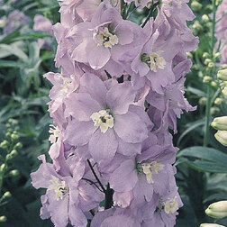 ����  ���������� ��������� ������� ������� �������� (1��-250��) ���������������� ������, ������ �� 880 ���