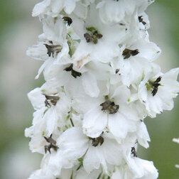 ����  ���������� ��������� ������� ������� ��������� (1��-250��) ���������������� ������, ������ �� 880 ���