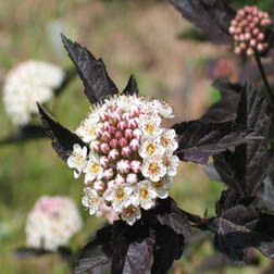 ����  ������� �������������� ������� (�������������), ������ �� 416 ���