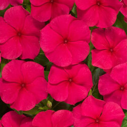 ����  ���������� ������� ��� (1��-1000��) ���������������� ������, ������ �� 2240 ���