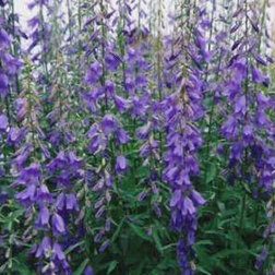 ����  ����������� ��������������� ������� ��� (1��-1000��)���������������� ������, ������ �� 5120 ���