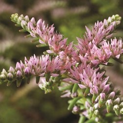 ����  ����� ������ �� ���� (1��-1000��)���������������� ������, ������ �� 2800 ���