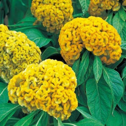 ����  ������� ����������� ����� ����� (1��-1000��) ���������������� ������, ������ �� 1040 ���