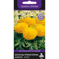 ����  �������� ������������ ������� ����� (������ �����), ������ �� 253 ���