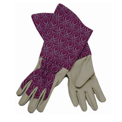 ����  �������� ������� ���������� ������� (Briers), ������ �� 2399 ���