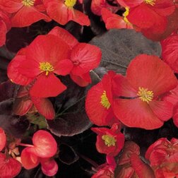 ����  ������� ������������� ��������������� �������� ��� (1��-1000�����) ���������������� ������, ������ �� 1760 ���