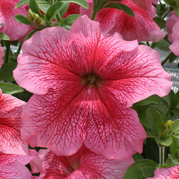 ����  ������� ����������� ����� ���������� ������ (1��-5000�����), ������ �� 10400 ���