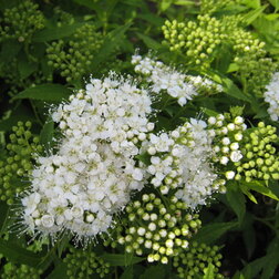 ����  ������ �������� ���������, ������ �� 399 ���