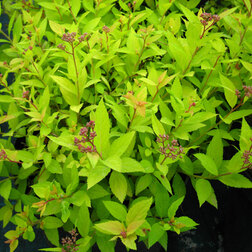 ����  ������� ������ ������ �������� (��������), ������ �� 399 ���