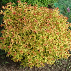 ����  ������� ������ ��������� (��������), ������ �� 399 ���