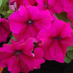 ����  ������� ����������� ����� ��� �� �������� (1��-1000�����) ���������������� ������, ������ �� 3200 ���