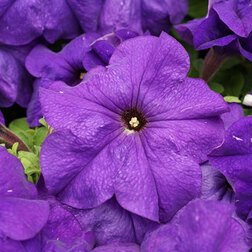 ����  ������� ����������� ����� ��� �� ��� ��� (1��-5000�����) ���������������� ������, ������ �� 16000 ���