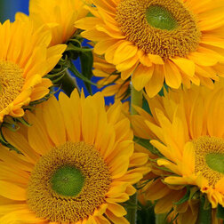 ����  ������������ ������ ���� (1��-1000��) ���������������� ������, ������ �� 9600 ���